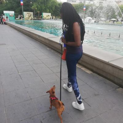 marche en laisse