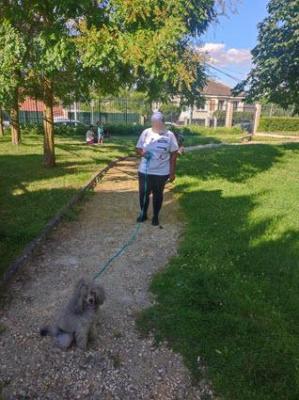 désensibilisation peur chien