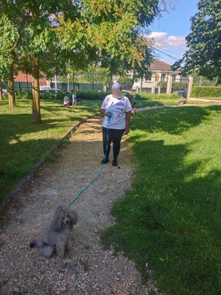 désensibilisation peur chien