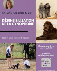 flyer désensibilisation cynophobie