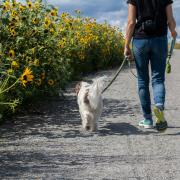 Delphine beausoleil byfmfcbqpny unsplash