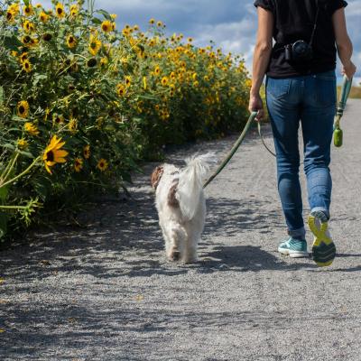 Delphine beausoleil byfmfcbqpny unsplash