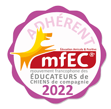 Mfec 2022