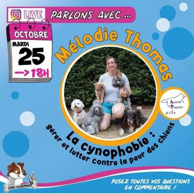 Live cani-gourmand cynophobie